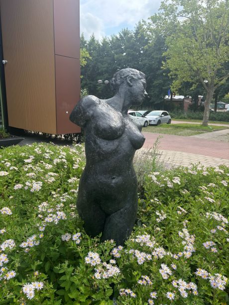Draaiende Vrouw